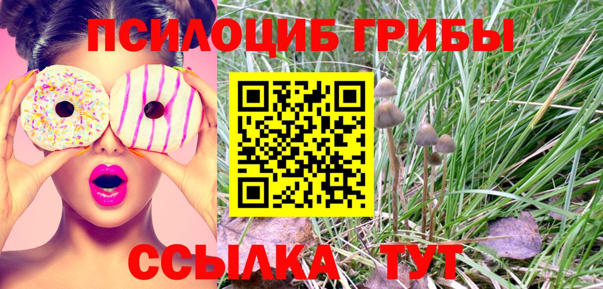 Псилоцибиновые грибы Psilocybine cubensis  Вход с VPN  Псилоцибиновые грибы Magic Shrooms  Скопин 